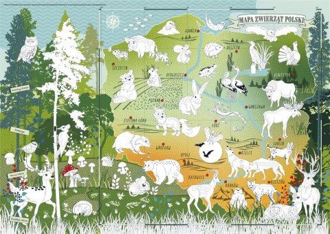 Mapa "Zwierzęta Polski" kolorowanka edukacyjna Mapa "Zwierzęta Polski" kolorowanka edukacyjna