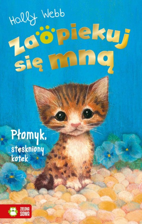 ZSM znł. W3. Płomyk, stęskniony kotek ZSM znł. W3. Płomyk, stęskniony kotek
