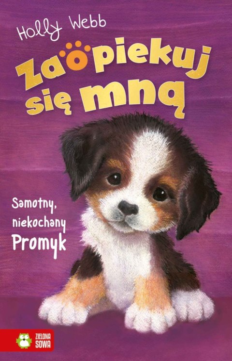 ZSM znł. W3. Samotny, niekochany Promyk ZSM znł. W3. Samotny, niekochany Promyk