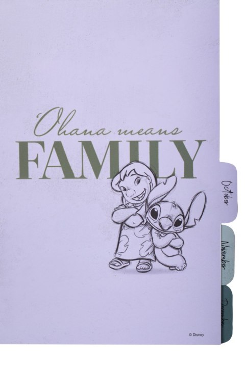 DISNEY 100 - PLANER A5 200 K BIG RING WZÓR 1 DISNEY 100 - PLANER A5 200 K BIG RING WZÓR 1