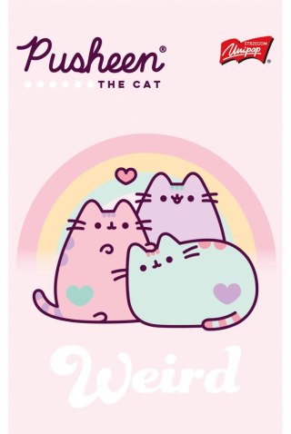 Notatnik A6 50 kartek krata okładka kredowana 70 g/m2 PUSHEEN