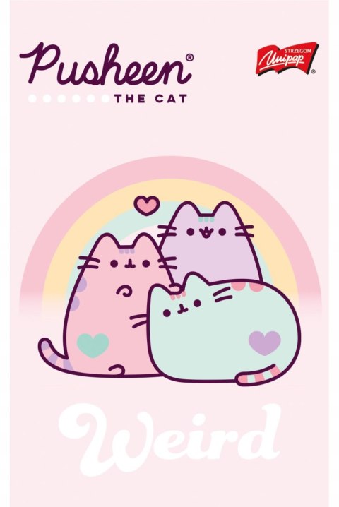Notatnik A6 50 kartek krata okładka kredowana 70 g/m2 PUSHEEN Notatnik A6 50 kartek krata okładka kredowana 70 g/m2 PUSHEEN