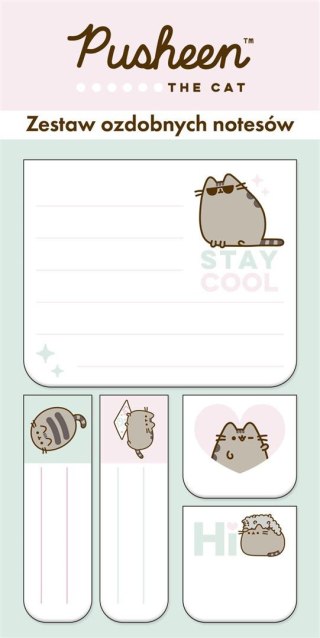 Zestaw 5 notesów ozdobnych 5 elementy PUSHEEN