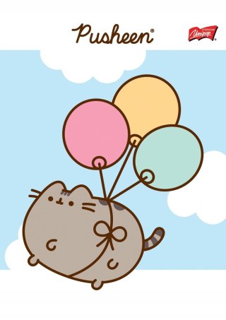 Zeszyt A5 32 kartki linia dwukolorowa okładka laminowana 70 g/m2 PUSHEEN