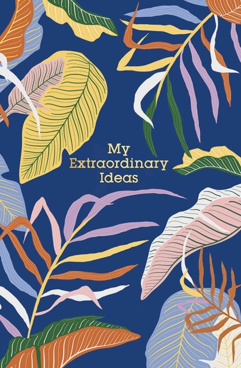 Brulion A6 linia 80K kremowy papier, "My extraordinary ideas" Brulion A6 linia 80K kremowy papier, "My extraordinary ideas"