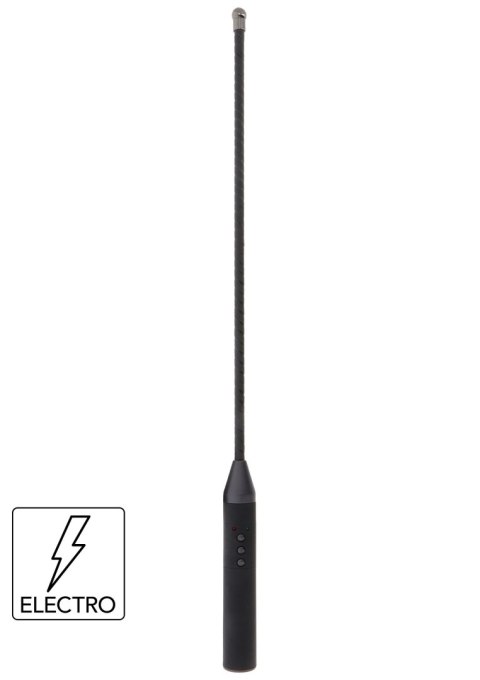 Hidden Desire Extreme Electro Cane Hidden Desire Extreme Electro Cane