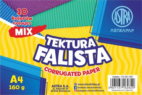 Tektura falista ASTRAPAP A4 mix 10 kol 160g, zestaw Tektura falista ASTRAPAP A4 mix 10 kol 160g, zestaw