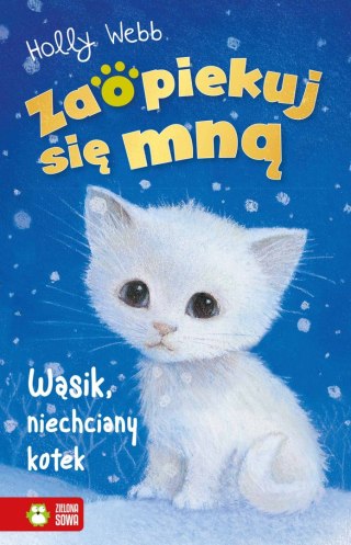 ZSM znł. W3. Wąsik, niechciany kotek