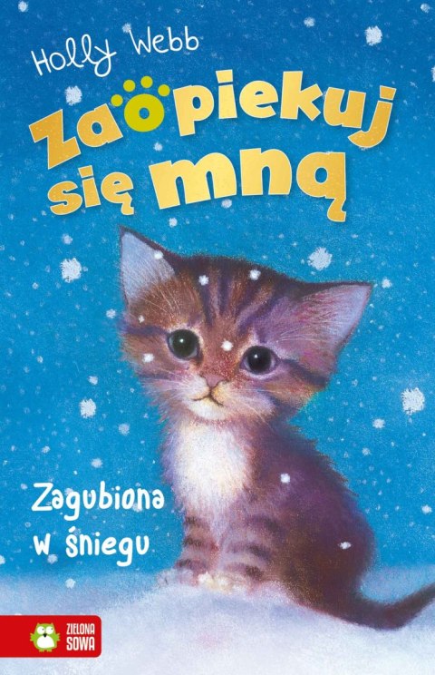 ZSM znł. W3. Zagubiona w śniegu ZSM znł. W3. Zagubiona w śniegu