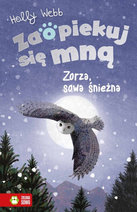 ZSM znł. W3. Zorza, sowa śnieżna ZSM znł. W3. Zorza, sowa śnieżna