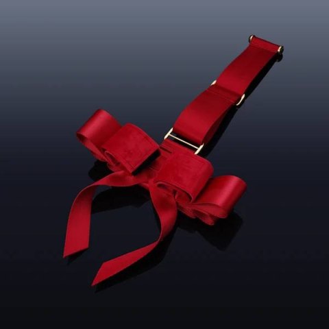 Upko Portable Bowknot Over-the-door Hand Restraint Gear