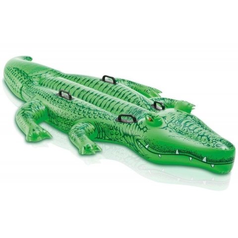 Aligator do pływania 203x114cm Aligator do pływania 203x114cm