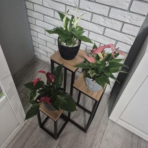 Kwietnik stojący 67cm Ruhhy 25626