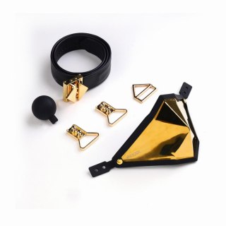 LOCKINK knebel Golden Punker Muzzle Gag Set Gold