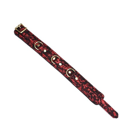 Liebe Seele Victorian Garden Lace and Velvet Collar with Leash