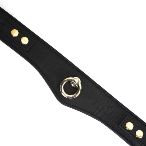 Liebe Seele obróżka ze smyczą Dark Secret Curved Collar