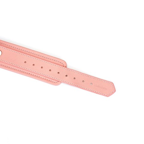 Liebe Seele obróżka ze smyczą Pink Dream Collar with Leash