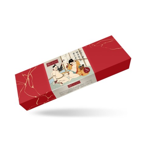 Liebe Seele pejcz Kinbaku Ukiyoe Red Rosy Leather Flogger Whip Liebe Seele pejcz Kinbaku Ukiyoe Red Rosy Leather Flogger Whip