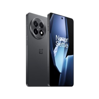 OnePlus 13R | Nebula Noir | 6.78 " | LTPO4 AMOLED | 1264 x 2780 pixels | Snapdragon 8 Gen 3 (4 nm) | Internal RAM 12 GB | 256 GB