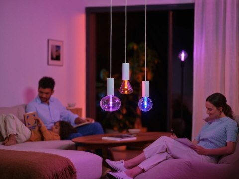 Philips Hue WCA Lightguide G125 E27 | Philips Hue Philips Hue WCA Lightguide G125 E27 | Philips Hue