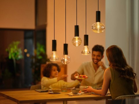 Philips Hue WCA Lightguide G125 E27 | Philips Hue Philips Hue WCA Lightguide G125 E27 | Philips Hue