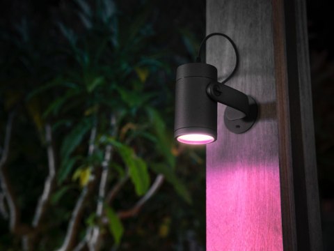 Philips Hue WCA Lily Outdoor Spot Light Base 24V | Philips Hue Philips Hue WCA Lily Outdoor Spot Light Base 24V | Philips Hue