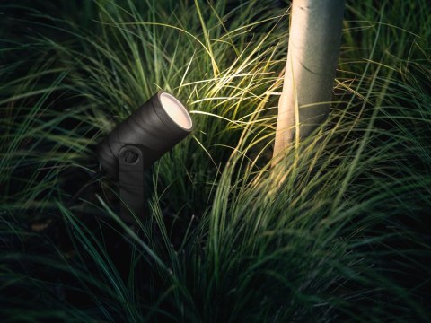 Philips Hue WCA Lily Outdoor Spot Light Base 24V | Philips Hue Philips Hue WCA Lily Outdoor Spot Light Base 24V | Philips Hue