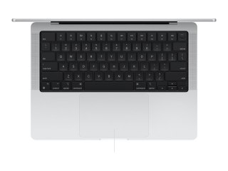 Apple MacBook Pro 14" Apple M4 10C CPU, 10C GPU/24GB/1TB GB SSD/Silver/RUS