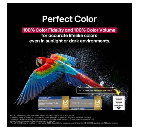 LG OLED55C51LA | 55 | Smart TV | webOS 25 | UHD LG OLED55C51LA | 55 | Smart TV | webOS 25 | UHD